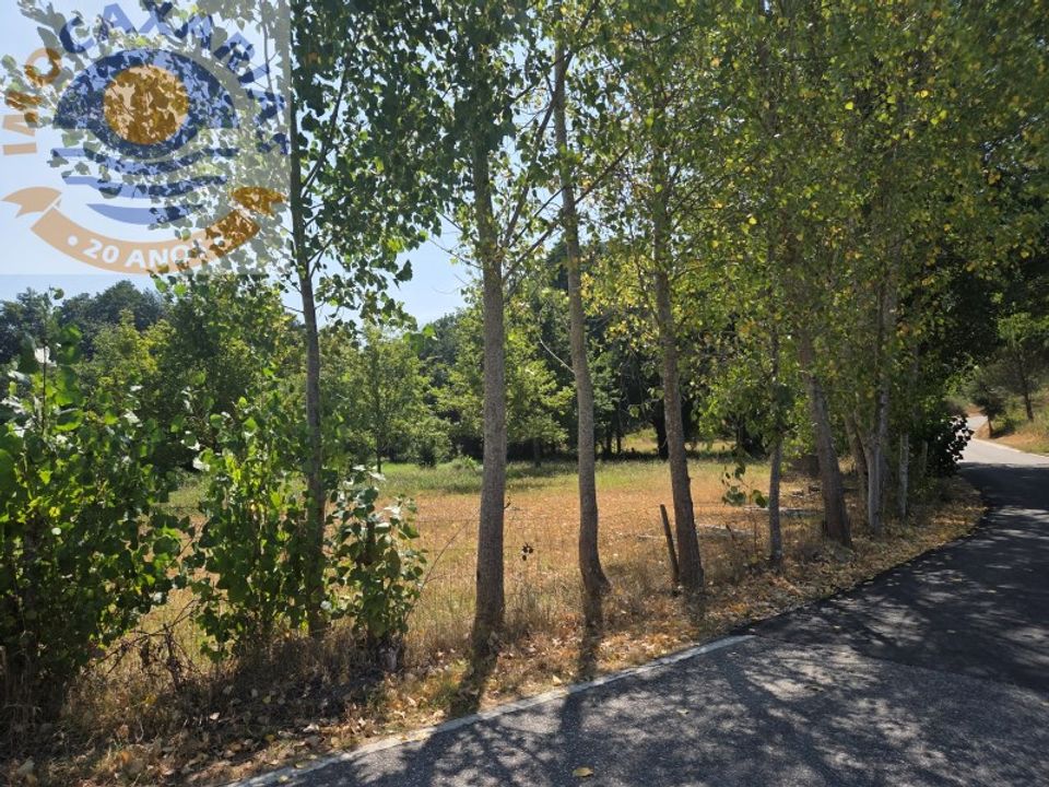 Helårsgrund i Ourem, Santarem - foto 5