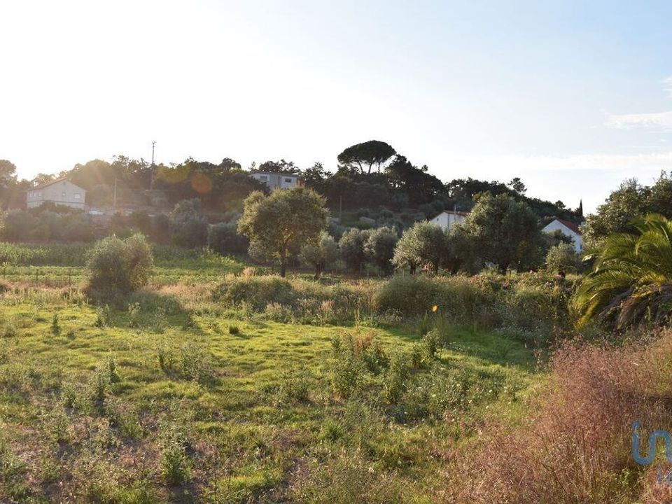 Helårsgrund i Ferreira do Zezere, Santarem - foto 2