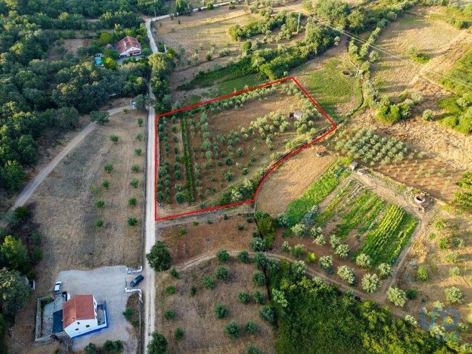 Helårsgrund i Ferreira do Zezere, Santarem - foto 1