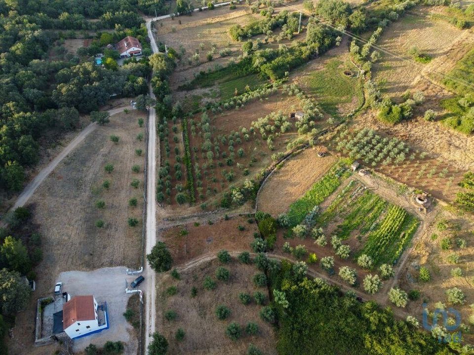 Helårsgrund i Ferreira do Zezere, Santarem - foto 2