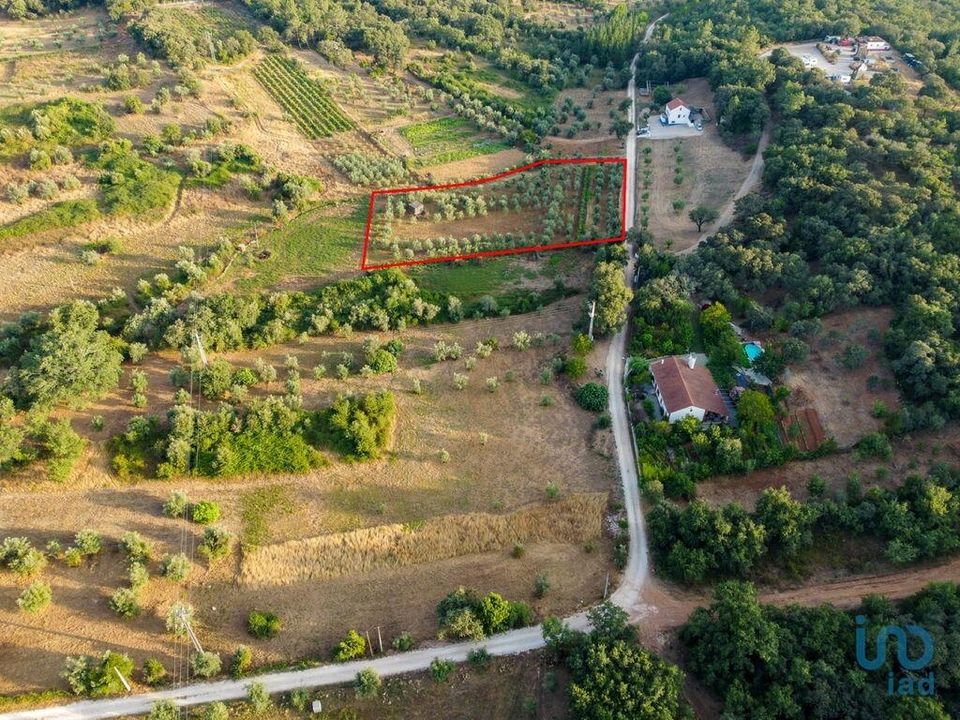 Helårsgrund i Ferreira do Zezere, Santarem - foto 4