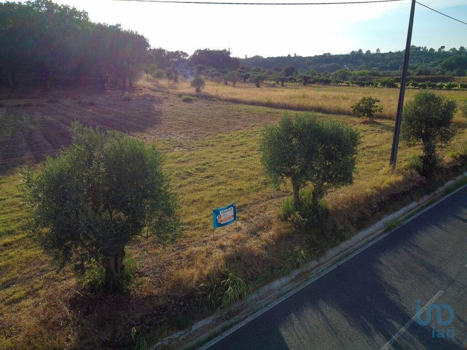 Helårsgrund i Ferreira do Zezere, Santarem - foto 2