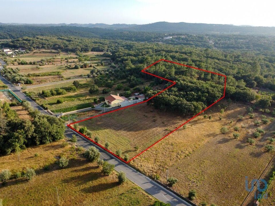 Helårsgrund i Ferreira do Zezere, Santarem - foto 4