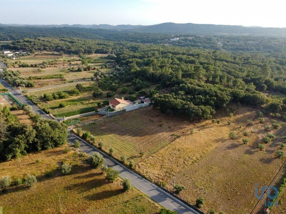 Helårsgrund i Ferreira do Zezere, Santarem - foto 5