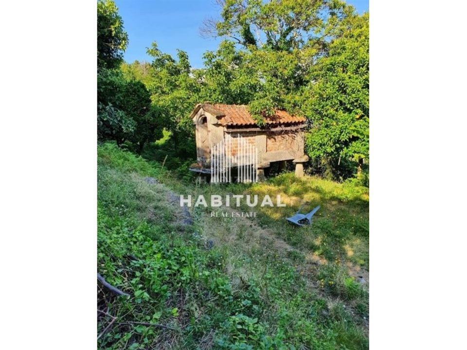 Farm i Arcos de Valdevez, Viana do Castelo - foto 4