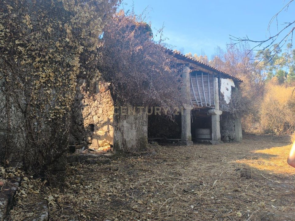 Farm hus i Ponte de Lima, Viana do Castelo - foto 4