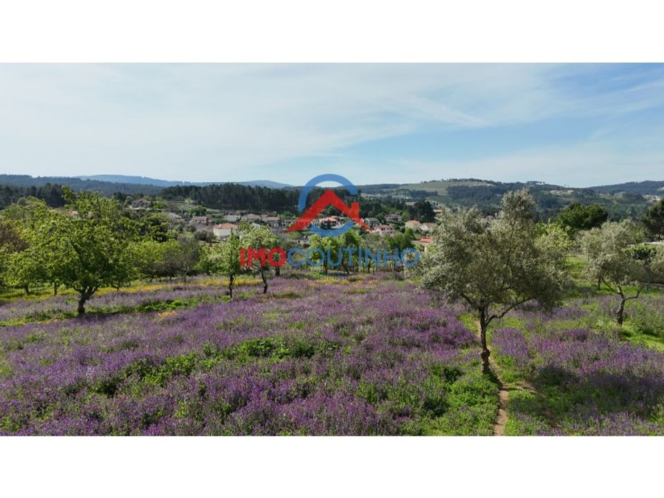 Helårsgrund i Vila Real, Vila Real - foto 4