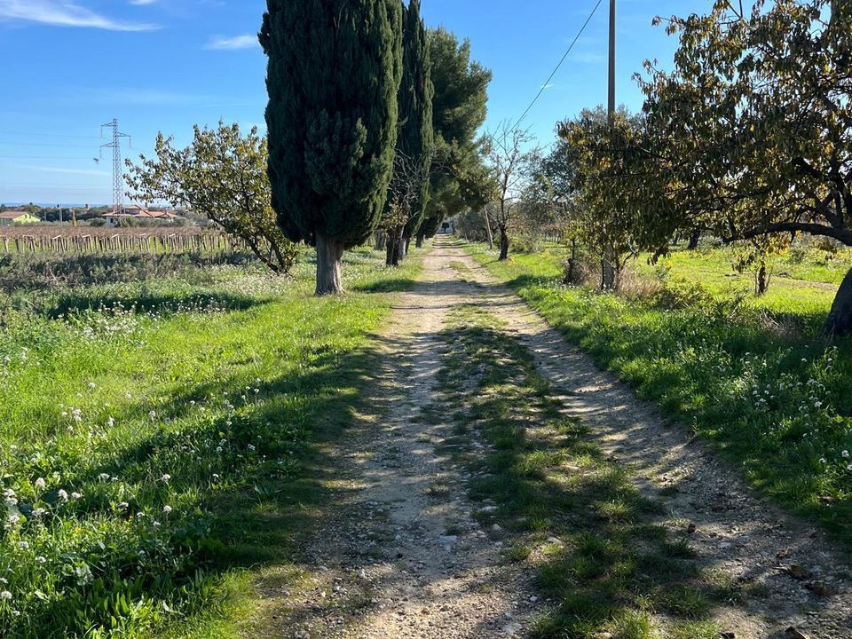 Villa i Rocca San Giovanni, Chieti - foto 5