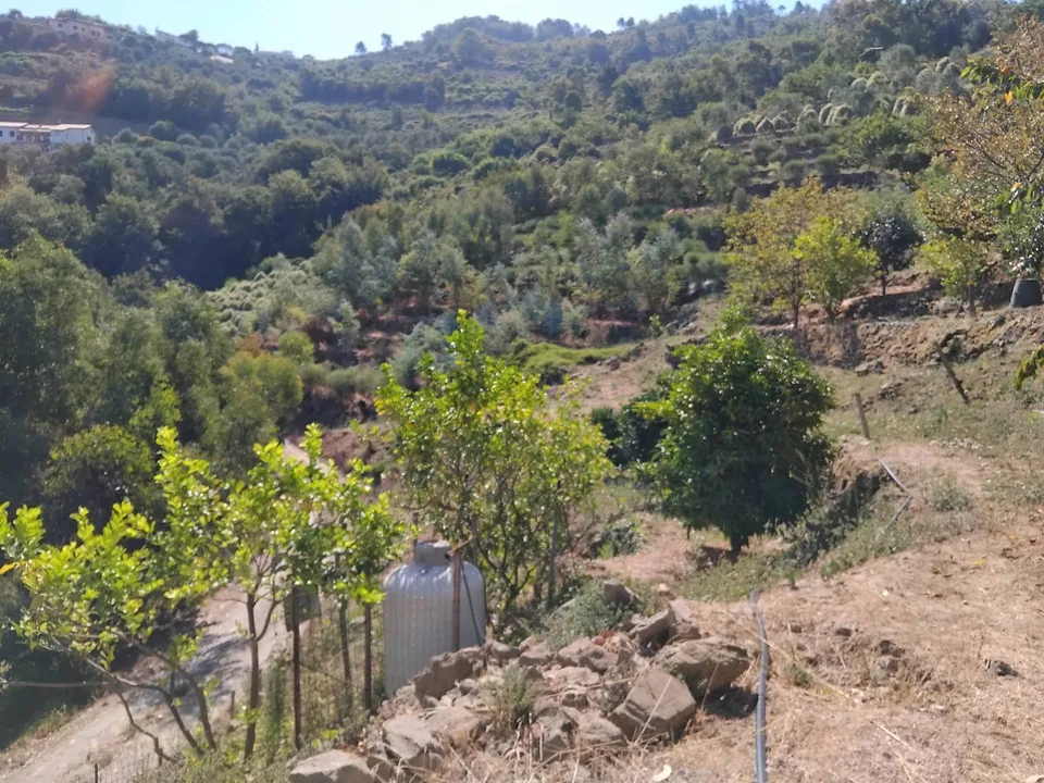 Villa i Soldano, Imperia - foto 3