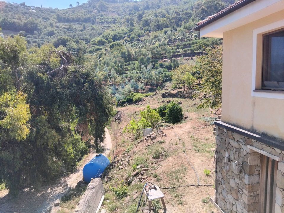 Villa i Soldano, Imperia - foto 5