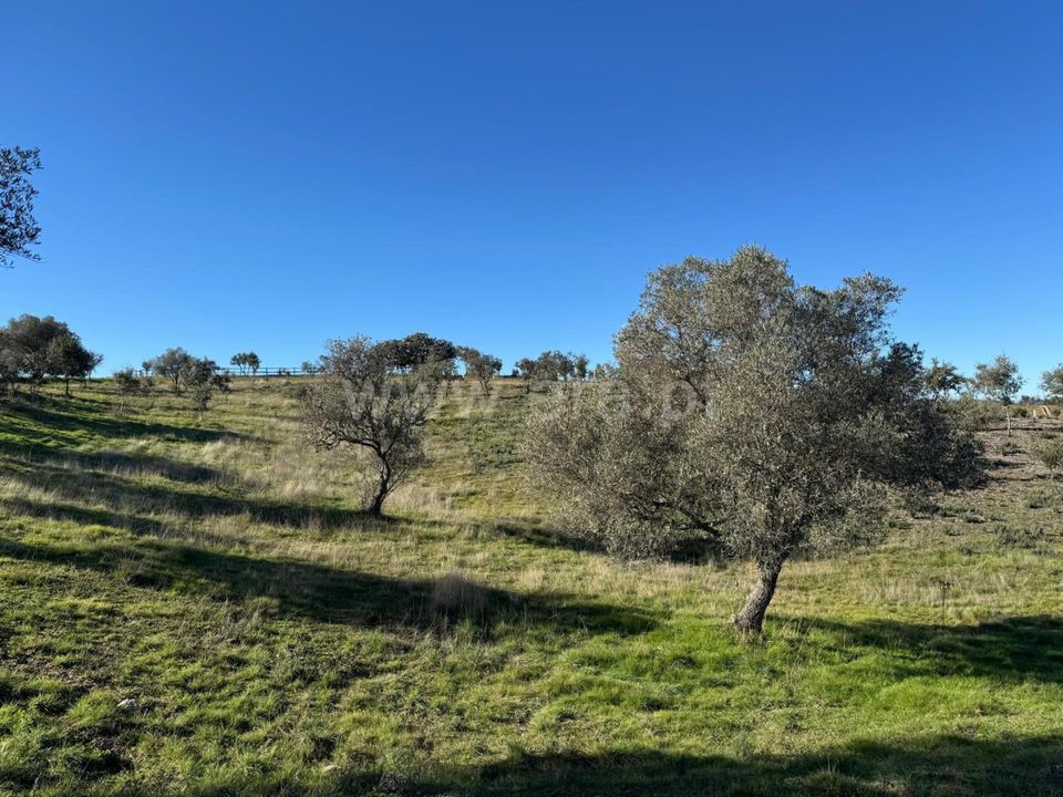 Erhvervsejendom i Penamacor, Castelo Branco - foto 1