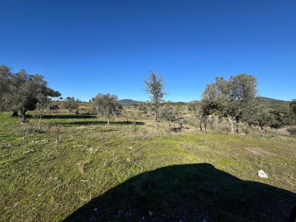 Erhvervsejendom i Penamacor, Castelo Branco - foto 2
