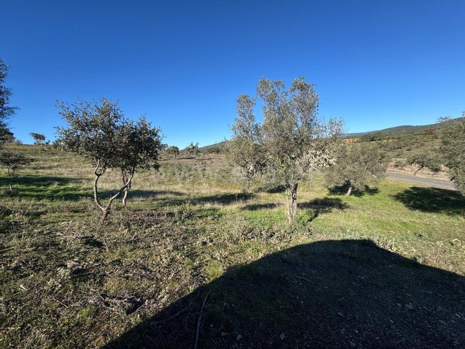 Erhvervsejendom i Penamacor, Castelo Branco - foto 3