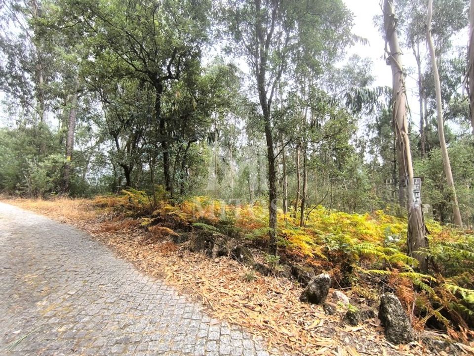 Helårsgrund i Barcelos, Braga - foto 1