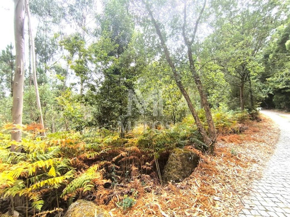 Helårsgrund i Barcelos, Braga - foto 2