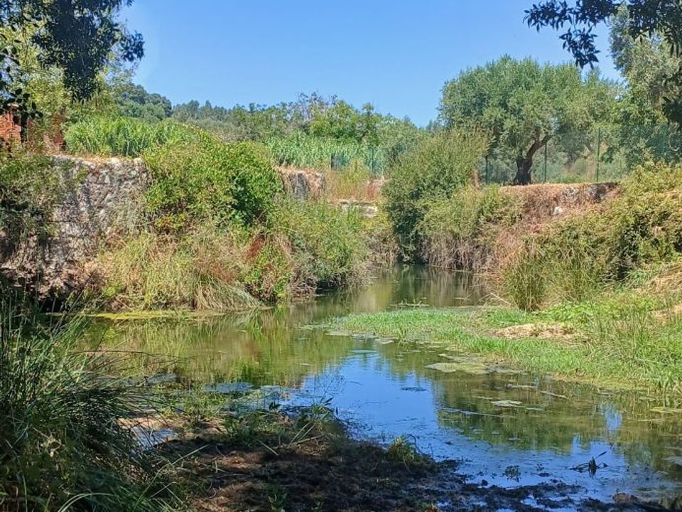 Helårsgrund i Torres Novas, Santarem - foto 1