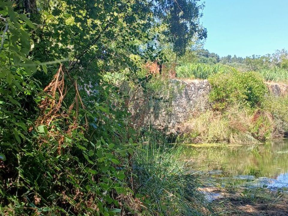 Helårsgrund i Torres Novas, Santarem - foto 2