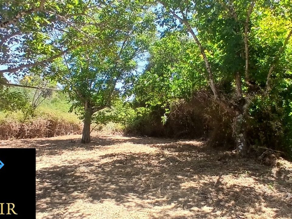 Helårsgrund i Torres Novas, Santarem - foto 5