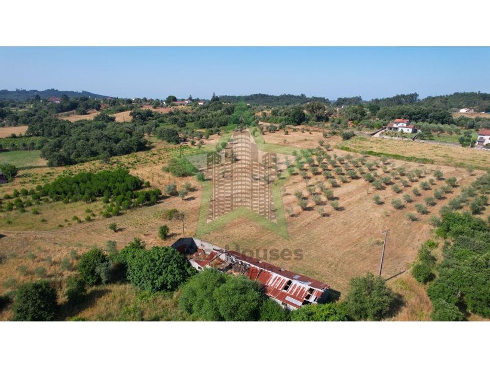 Villa a Alvaiazere, Leiria - foto 3