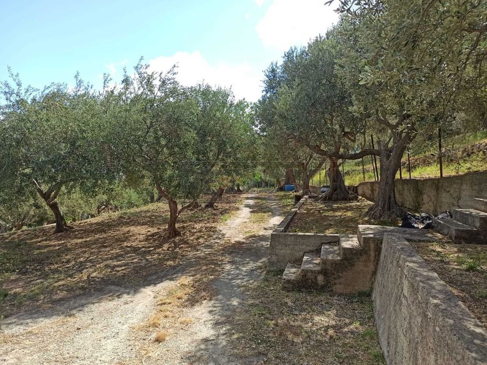 Villa i Messina, Messina - foto 2