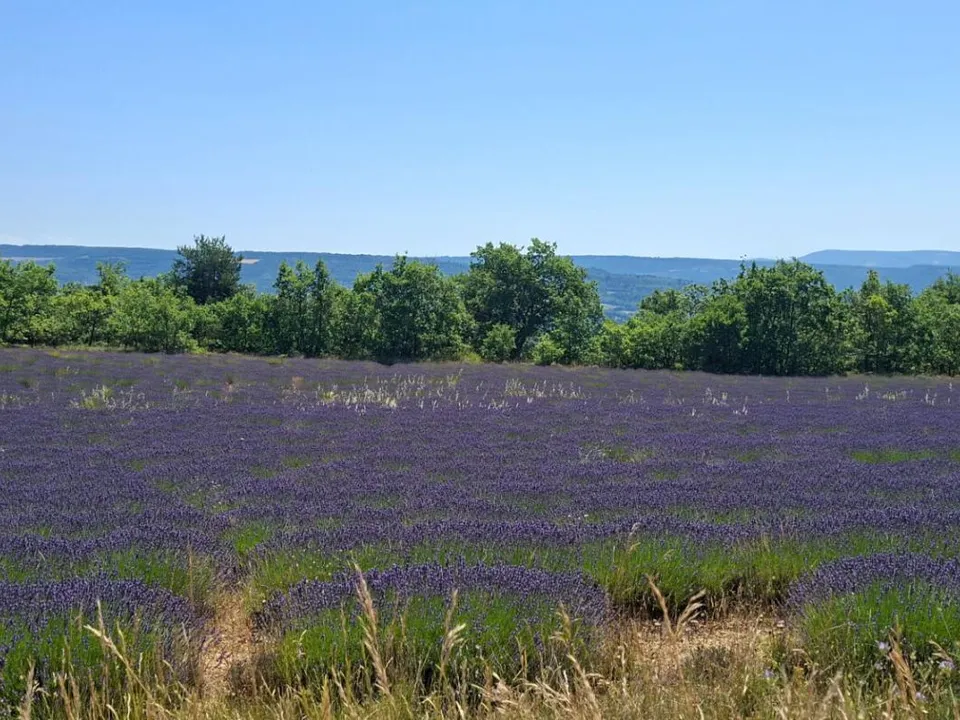 Villa i Revest-du-Bion, Alpes-de-Haute-Provence - foto 2