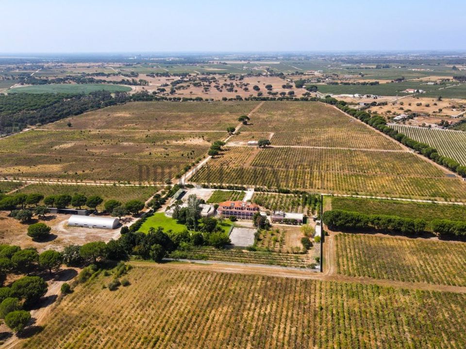 Landejendom i Palmela, Setubal - foto 3