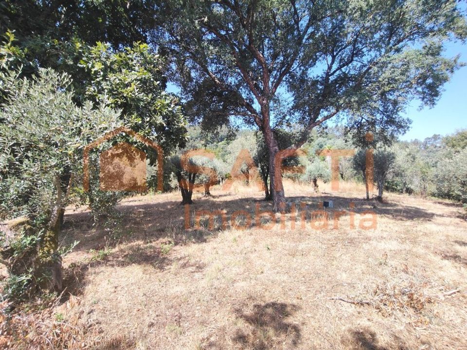 Villa i Alvaiazere, Leiria - foto 1
