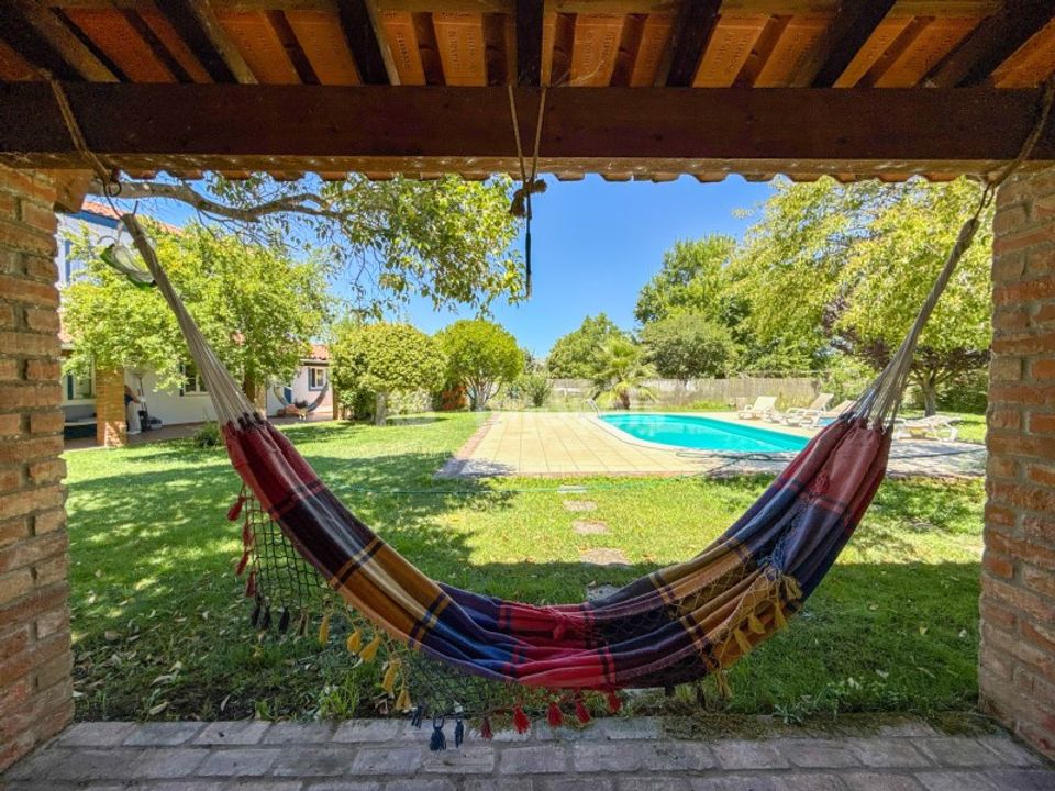 Granja en Abrantes, Santarem - foto 2