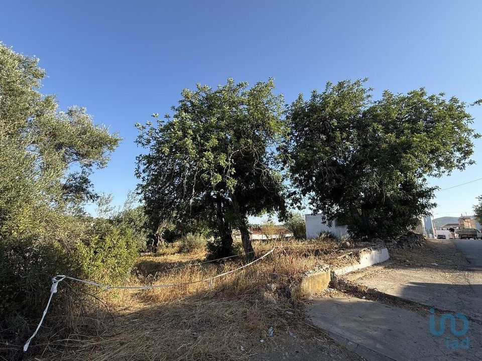 Helårsgrund i Faro, Faro - foto 2