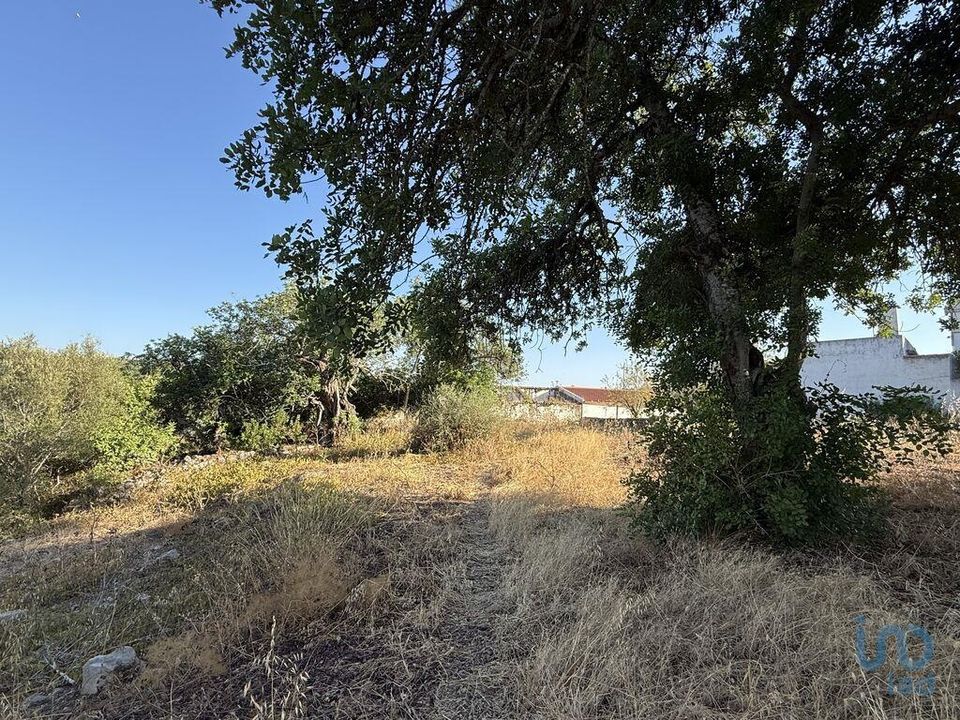 Helårsgrund i Faro, Faro - foto 4