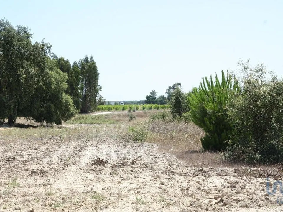 Tomt i Montijo, Setubal - bilde 2