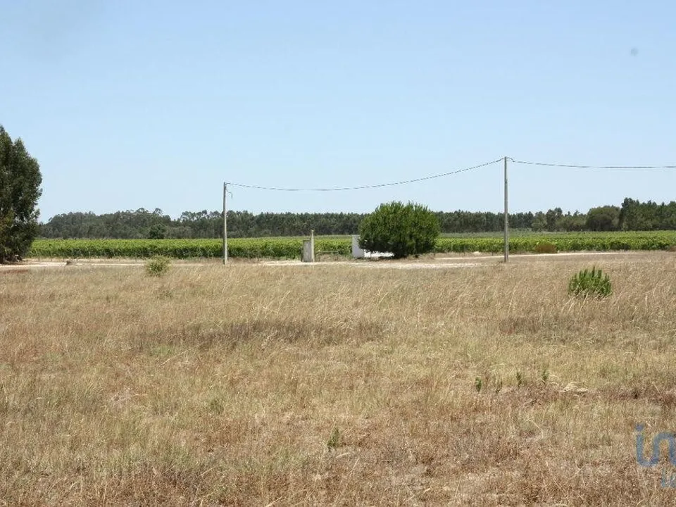 Tomt i Montijo, Setubal - bilde 3