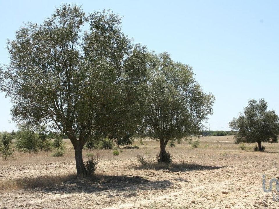 Tomt i Montijo, Setubal - bilde 5