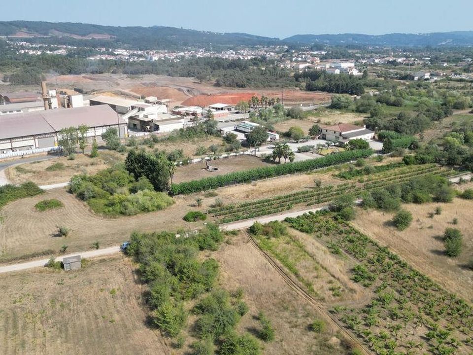 Helårsgrund i Penela, Coimbra - foto 5