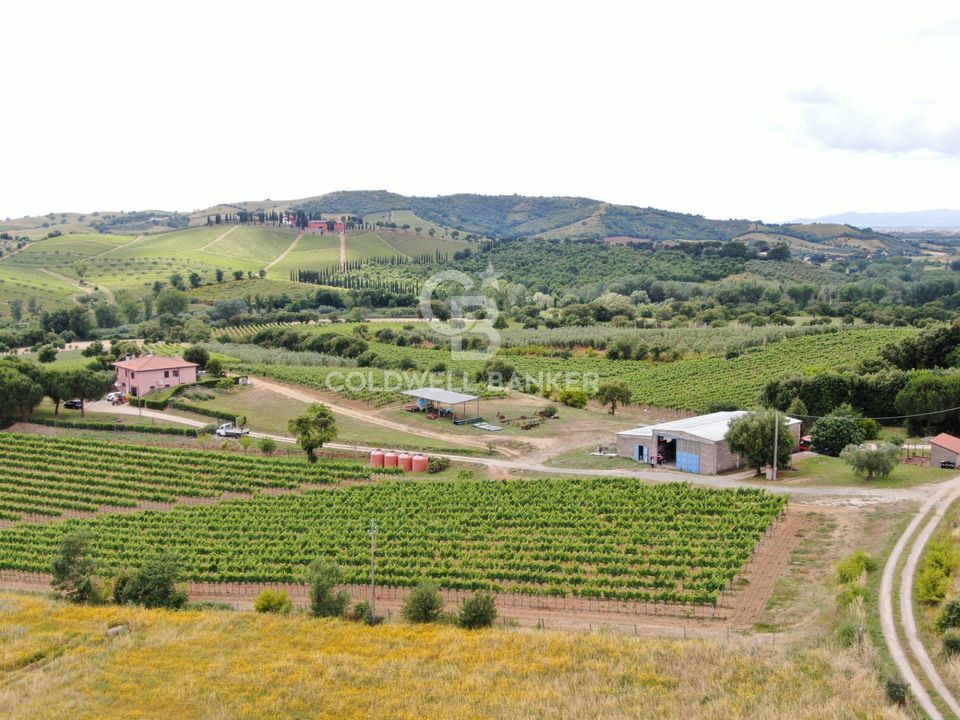 Farm i Grosseto, Grosseto - foto 1