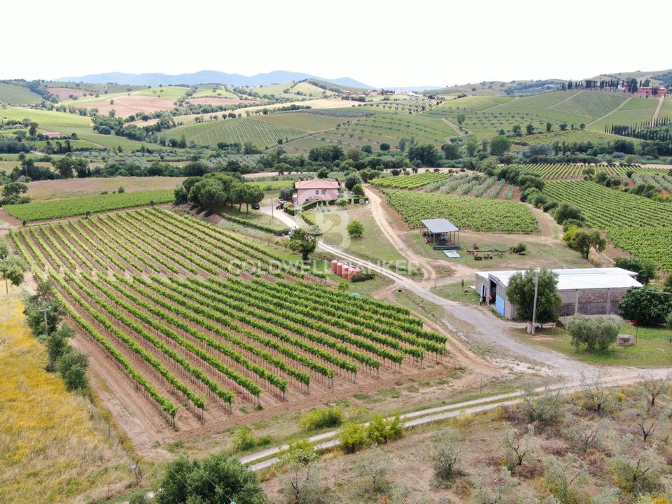 Farm i Grosseto, Grosseto - foto 2