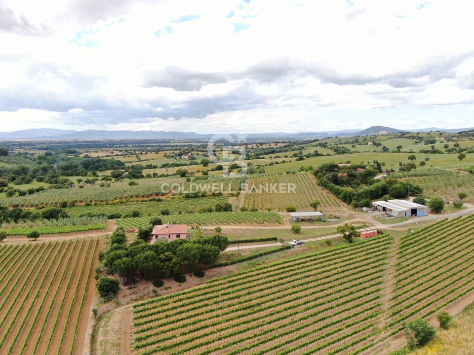 Farm i Grosseto, Grosseto - foto 3
