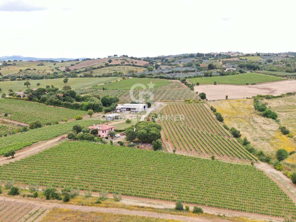 Farm i Grosseto, Grosseto - foto 4