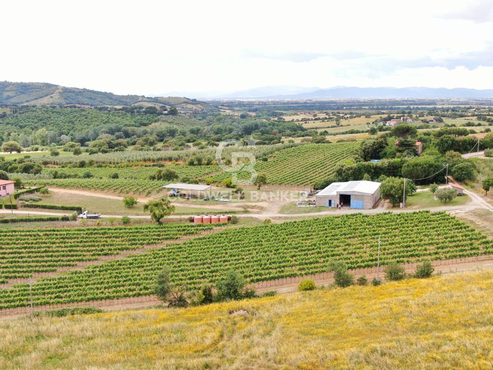 Farm i Grosseto, Grosseto - foto 5
