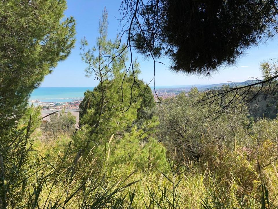 Tomt i Grottammare, Ascoli Piceno - bilde 1
