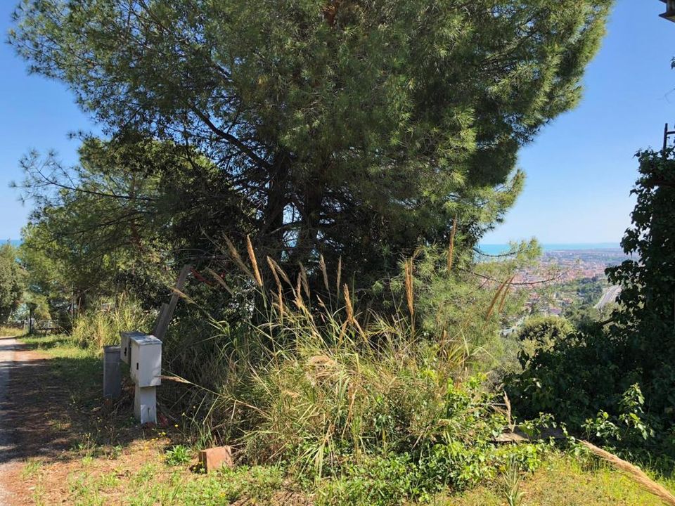 Tomt i Grottammare, Ascoli Piceno - bilde 3