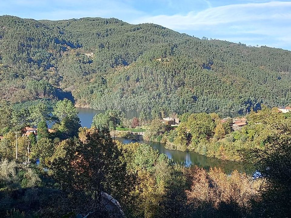 Tomt i Vieira do Minho, Braga - bilde 1