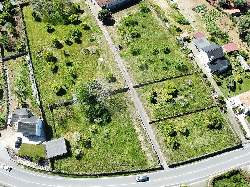 Farm i Ponte de Lima, Viana do Castelo - foto 4