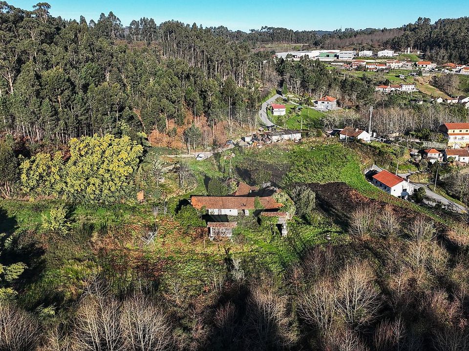 Farm i Celorico de Basto, Braga - foto 3