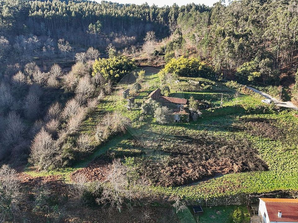 Farm i Celorico de Basto, Braga - foto 4