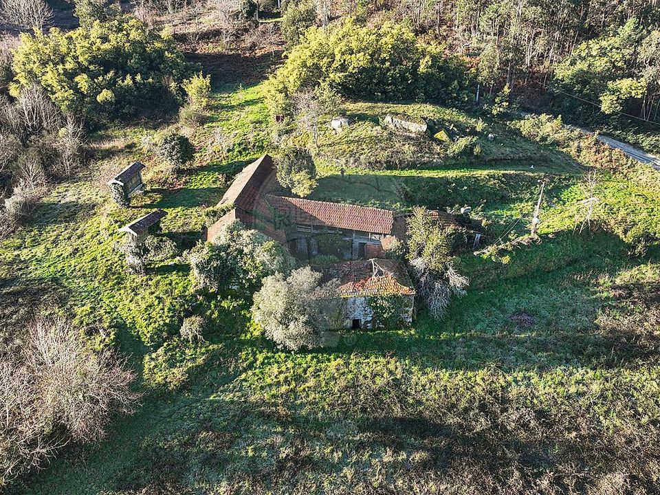 Farm i Celorico de Basto, Braga - foto 5