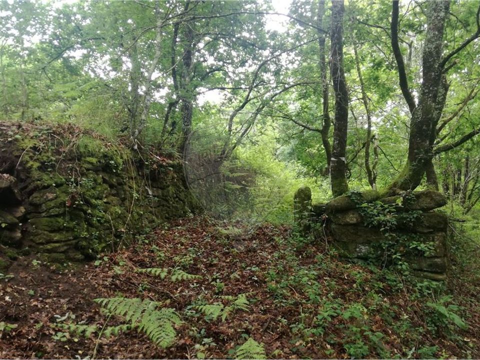 Terra a Amares, Braga - foto 2