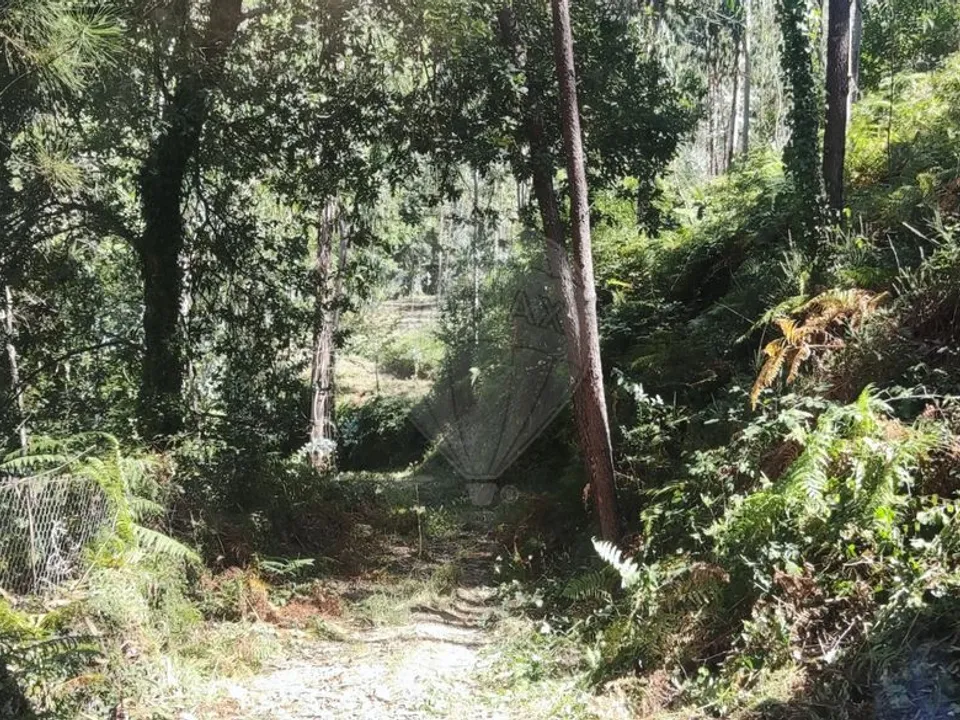 Helårsgrund i Terras de Bouro, Braga - foto 4