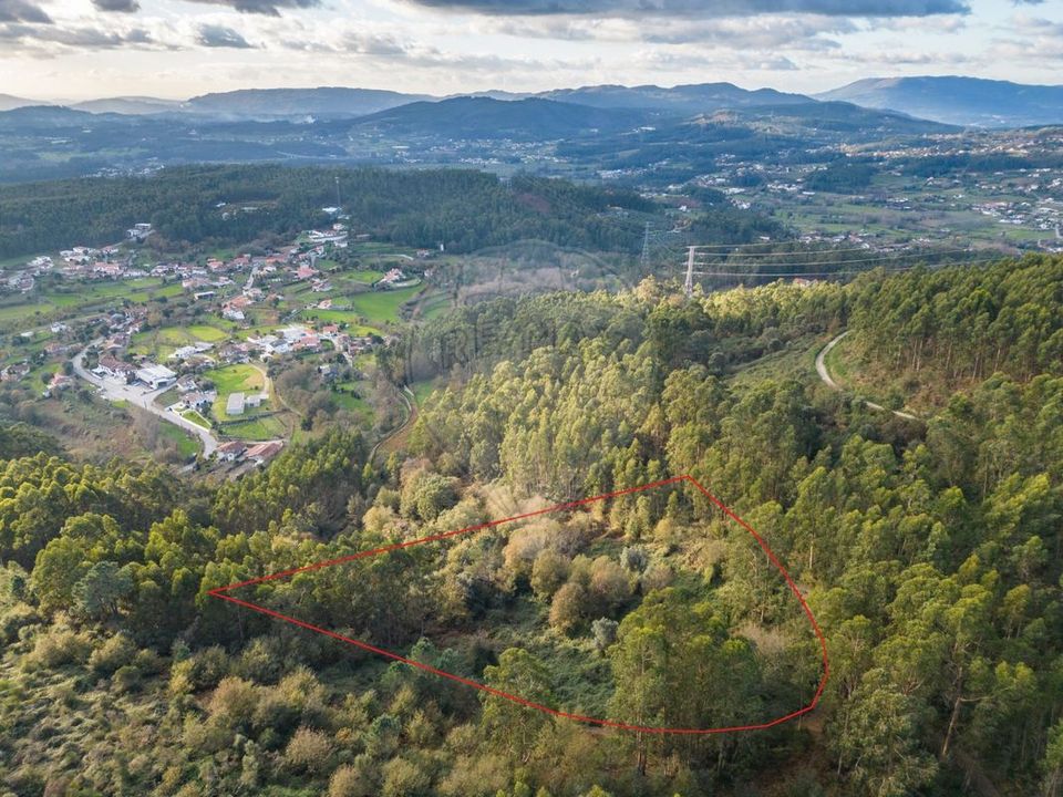 Helårsgrund i Vila Verde, Braga - foto 1