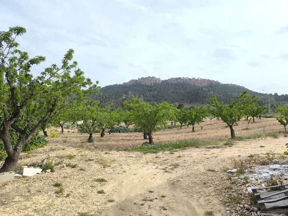 Cave house i Jumilla, Murcia - bilde 2